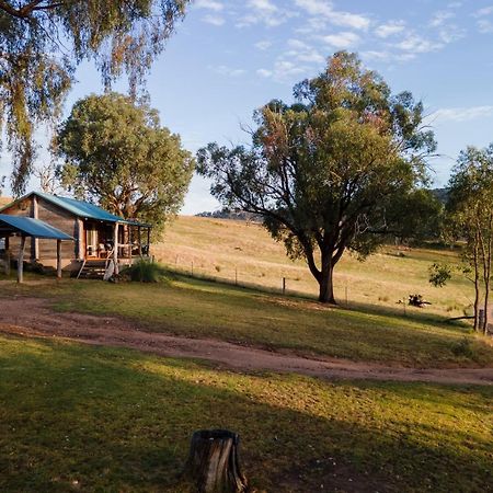 Gaddleen Grove Cottages Wodonga Exteriör bild