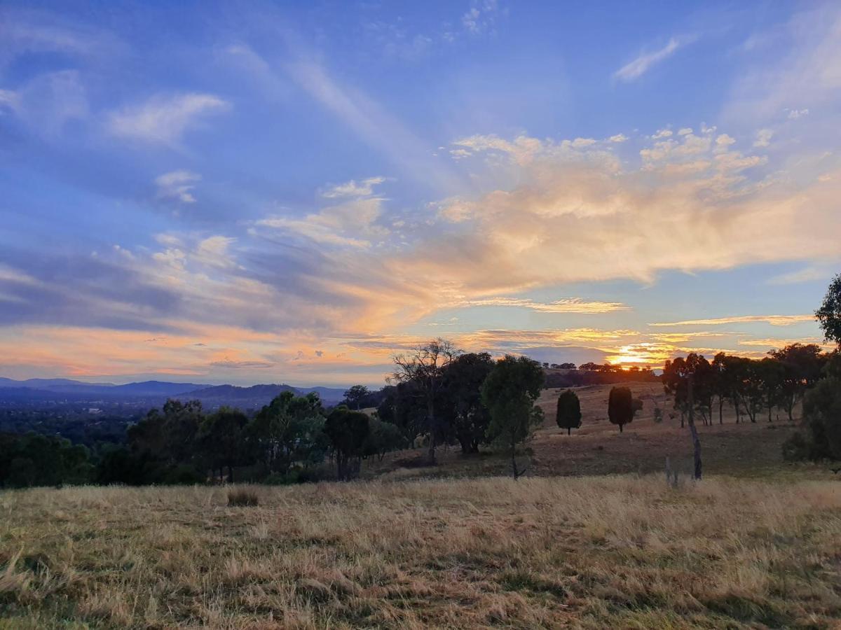 Gaddleen Grove Cottages Wodonga Exteriör bild
