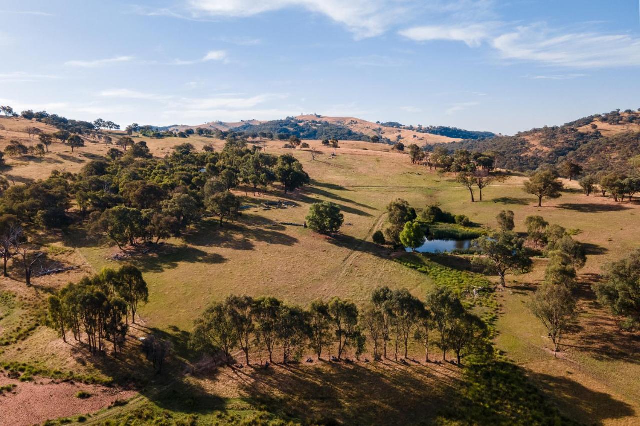 Gaddleen Grove Cottages Wodonga Exteriör bild