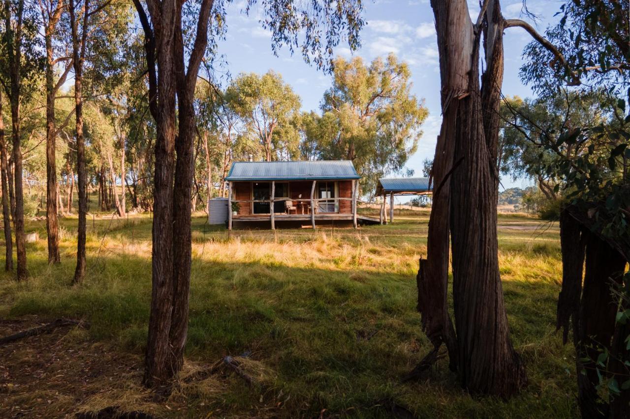 Gaddleen Grove Cottages Wodonga Exteriör bild