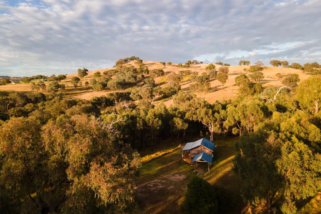 Gaddleen Grove Cottages Wodonga Exteriör bild